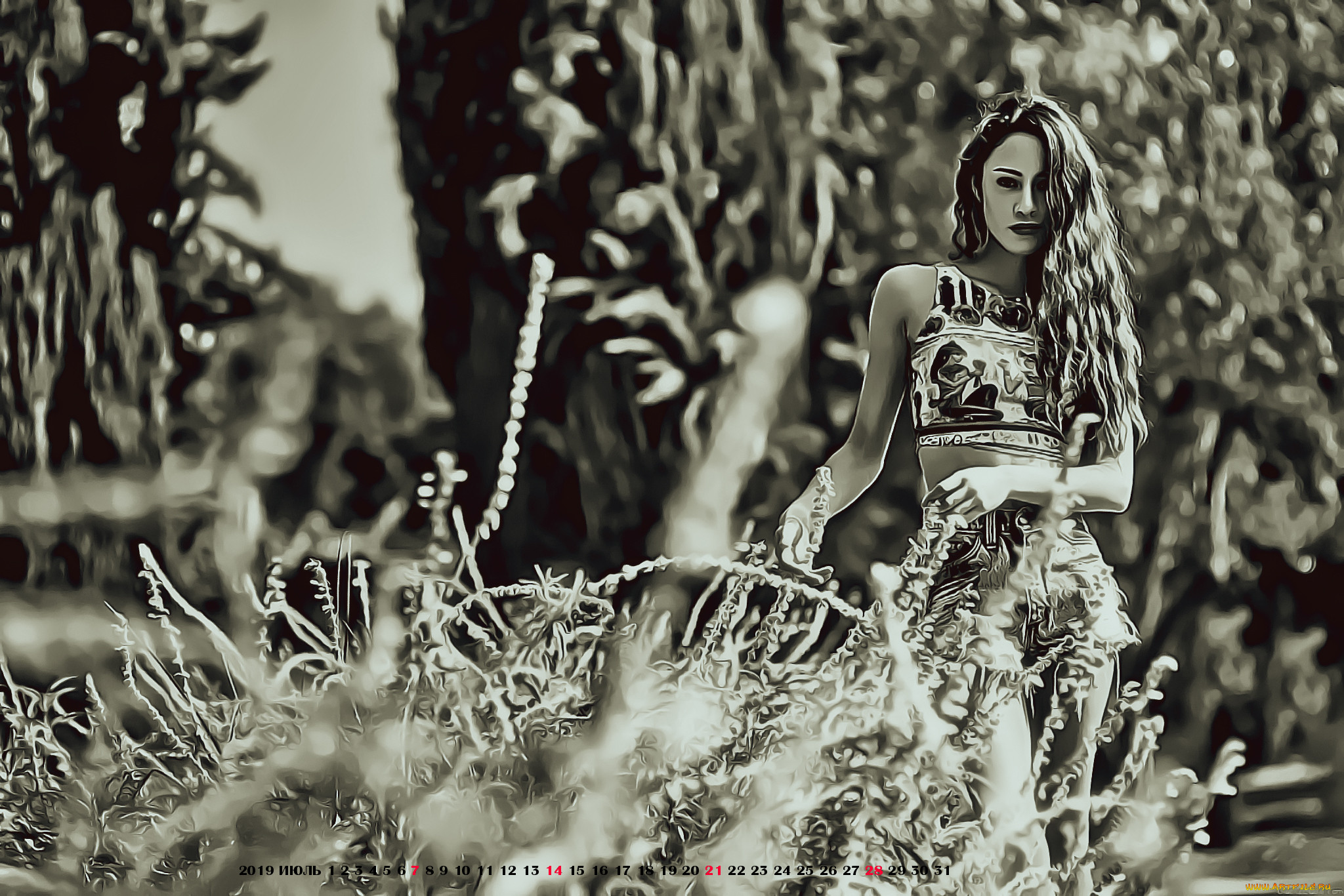 ,  , , 2019, calendar, , , , , 